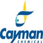 Recruiter Company